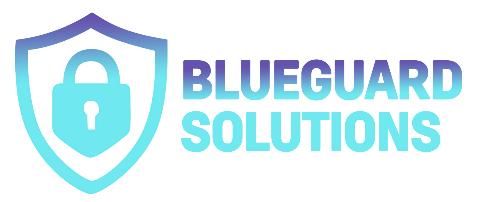 SecureAudit - Professional cybersecurity services